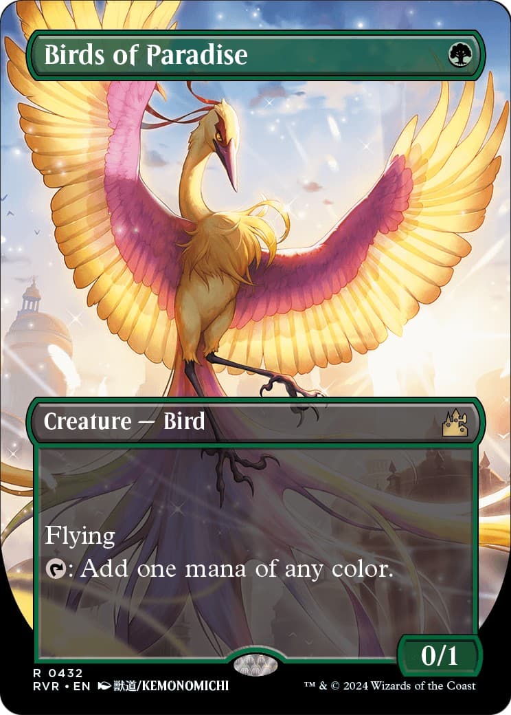 Birds of Paradise - Image 1