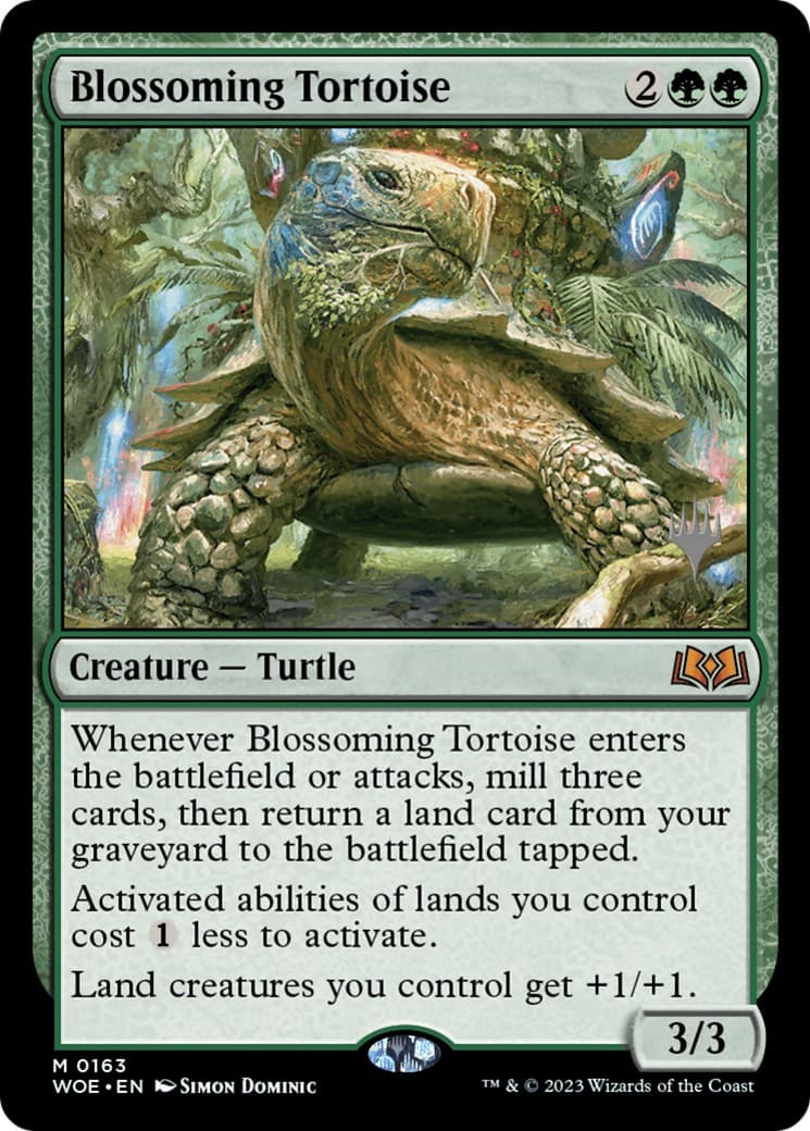 Blossoming Tortoise - Image 1