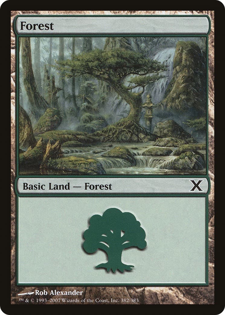 Forest - Image 1