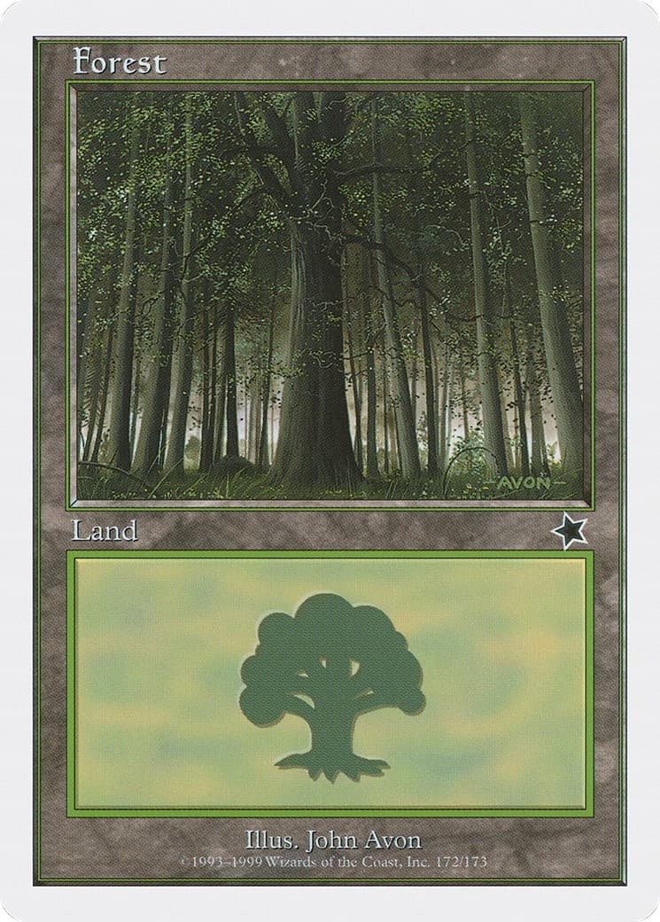 Forest - Image 1