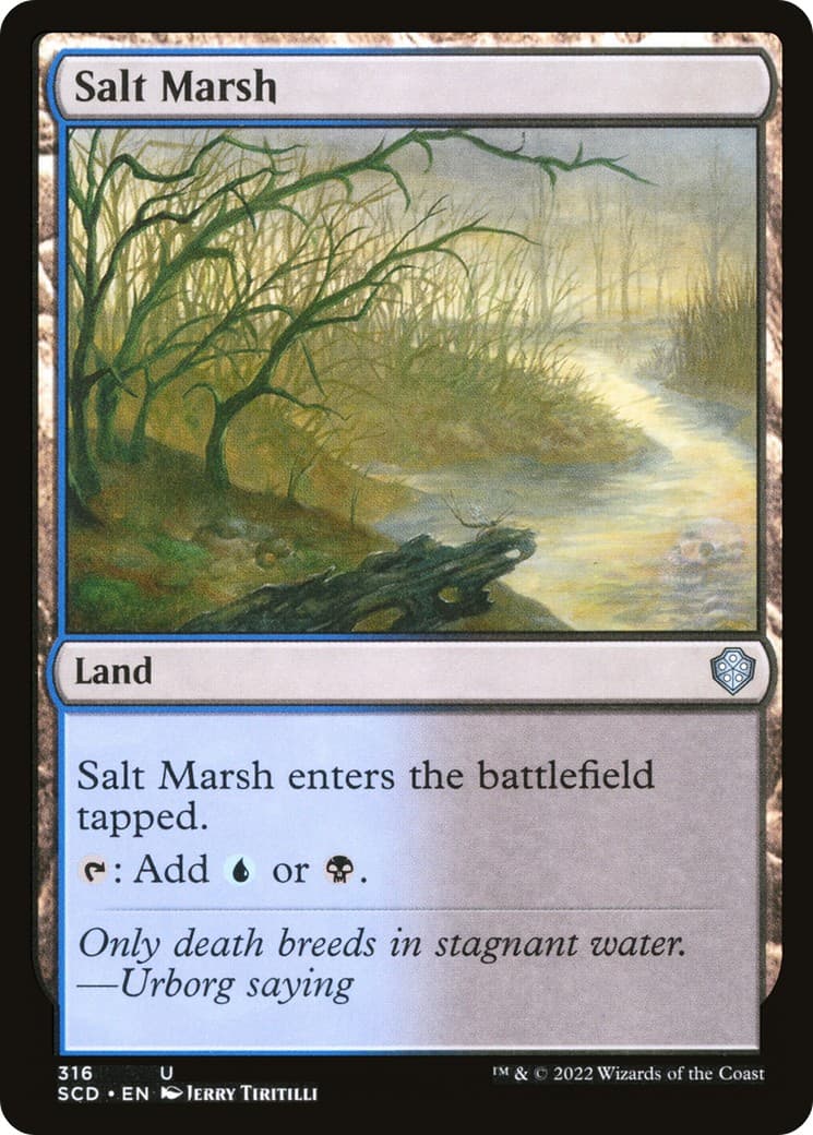 Salt Marsh - Image 1