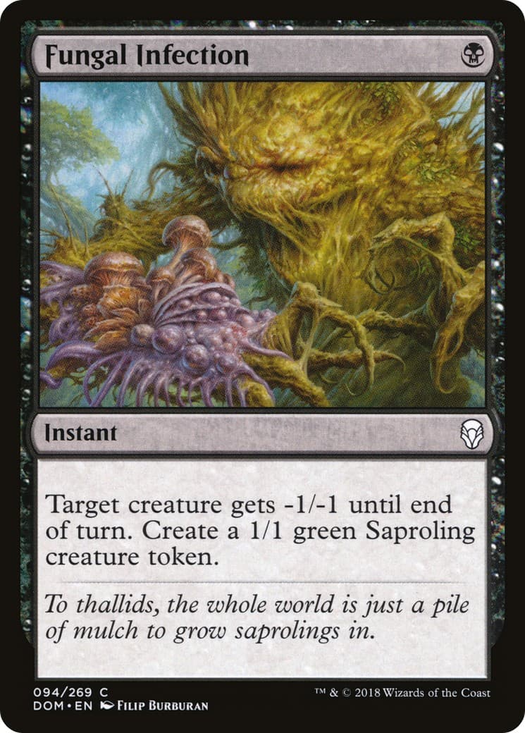 Fungal Infection - Image 1