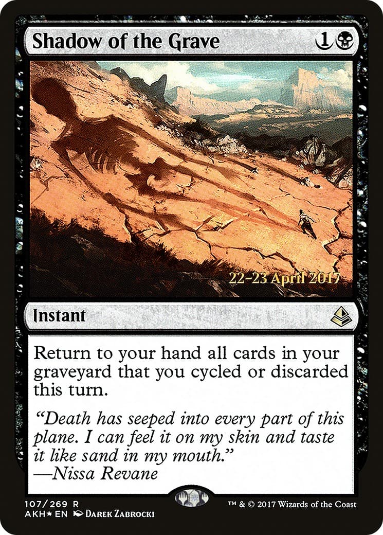 Shadow of the Grave - Image 1