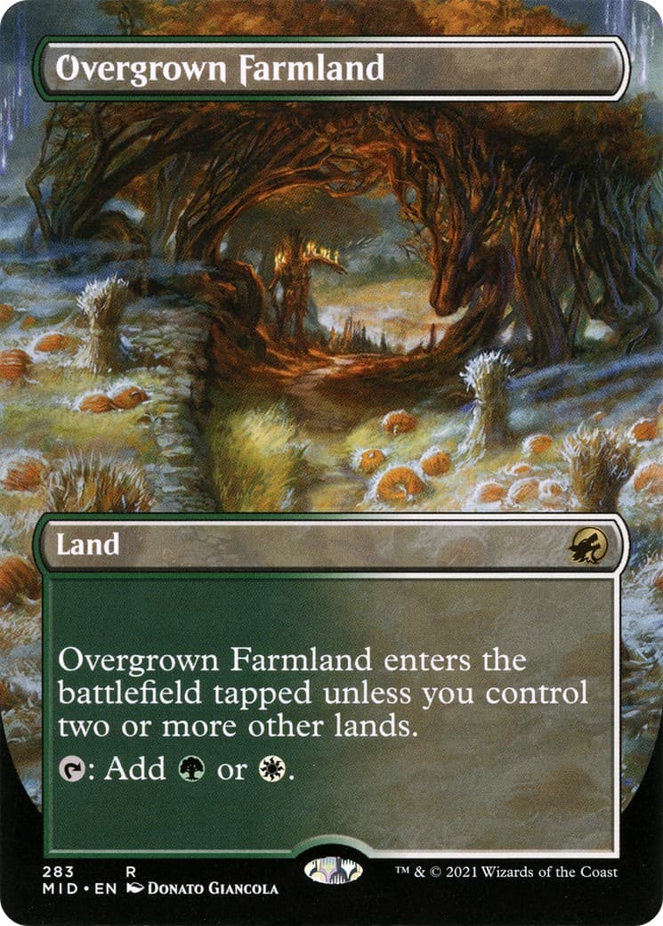 Overgrown Farmland - Image 1