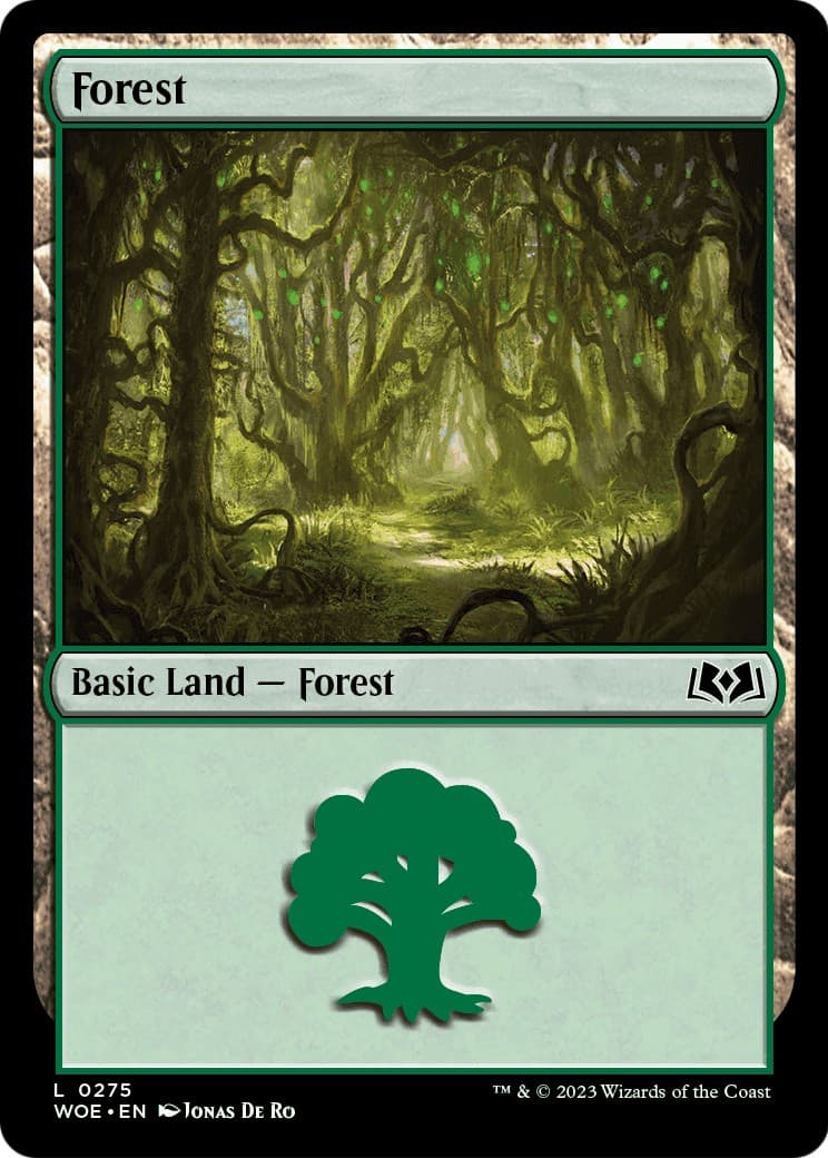 Forest - Image 1