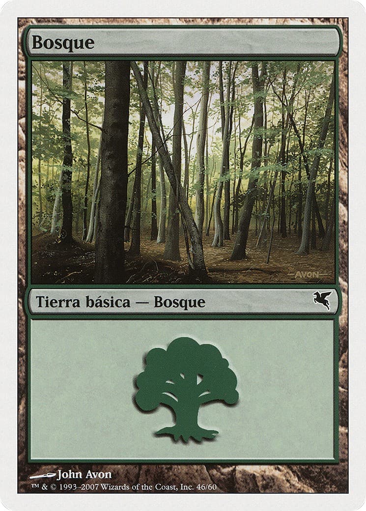 Forest - Image 1