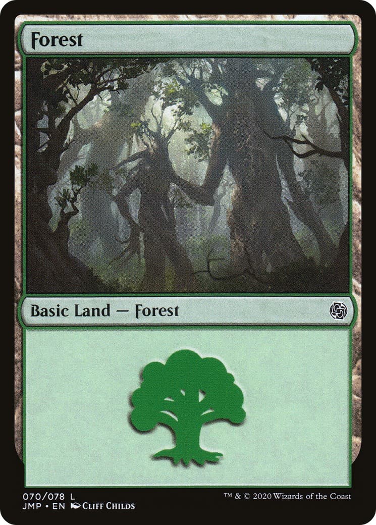 Forest - Image 1