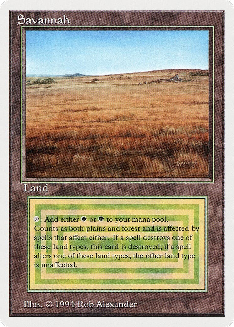 Savannah - Image 1