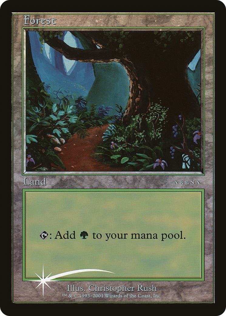 Forest - Image 1