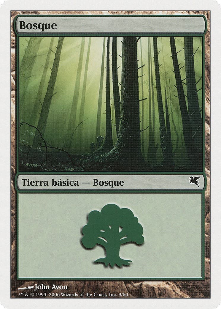 Forest - Image 1