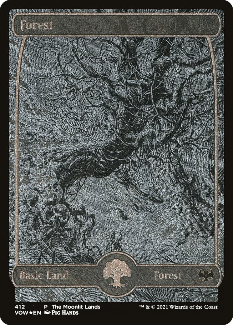 Forest - Image 1
