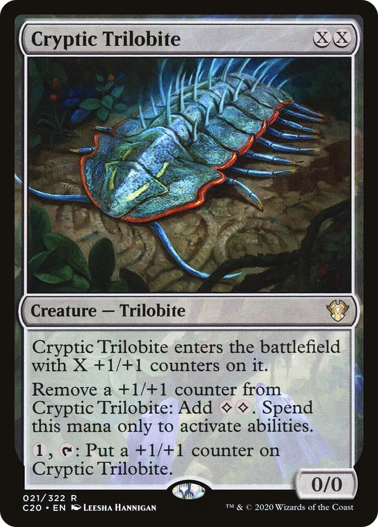 Cryptic Trilobite - Image 1