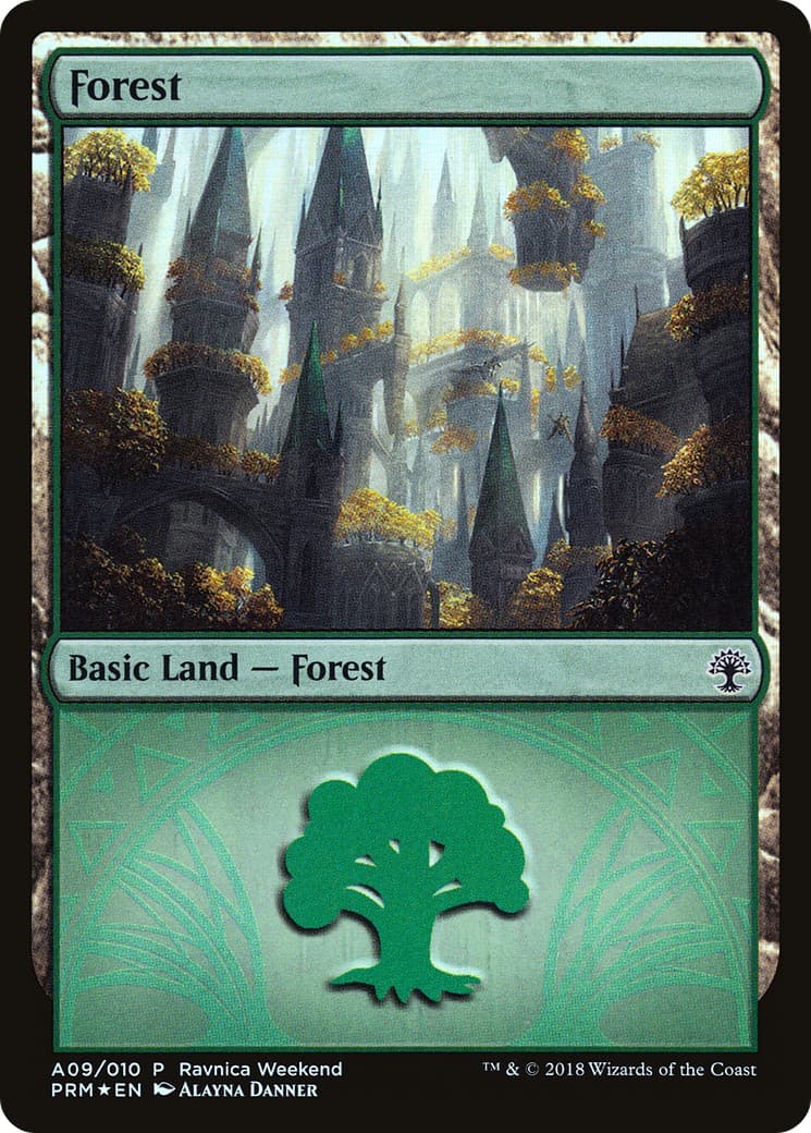Forest - Image 1