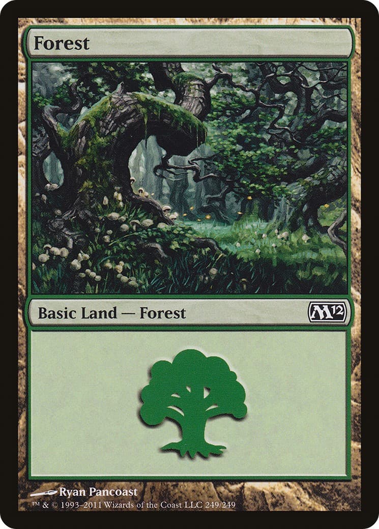 Forest - Image 1