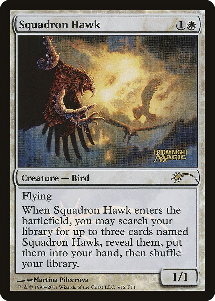 Squadron Hawk - Image 1