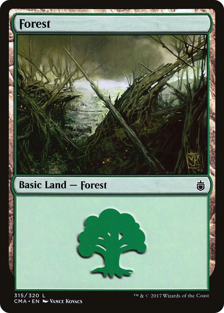 Forest - Image 1
