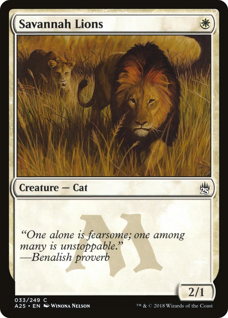 Savannah Lions - Image 1