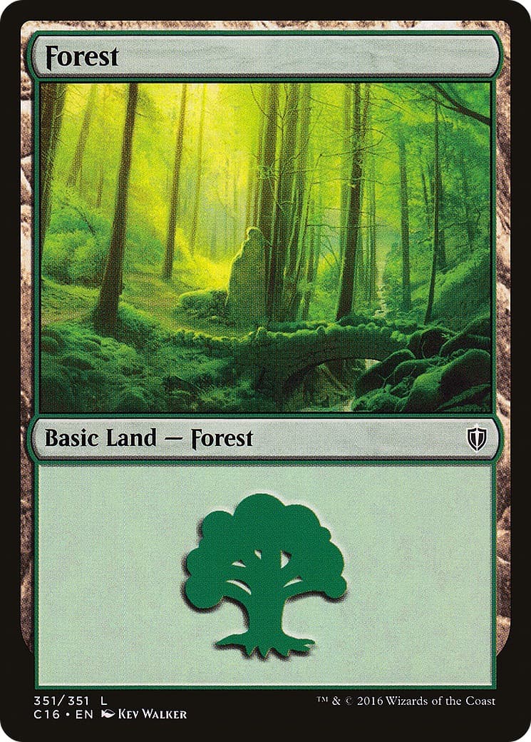Forest - Image 1