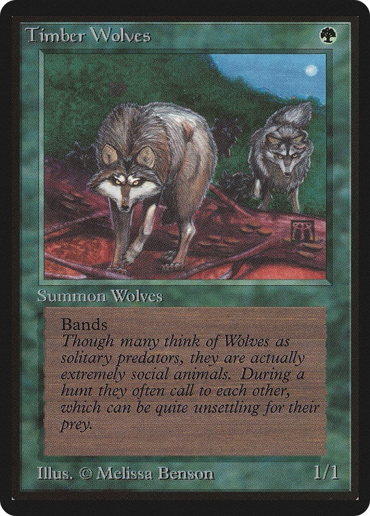 Timber Wolves - Image 1