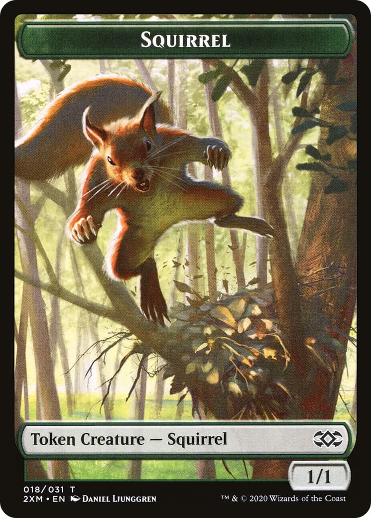 Squirrel - Image 1