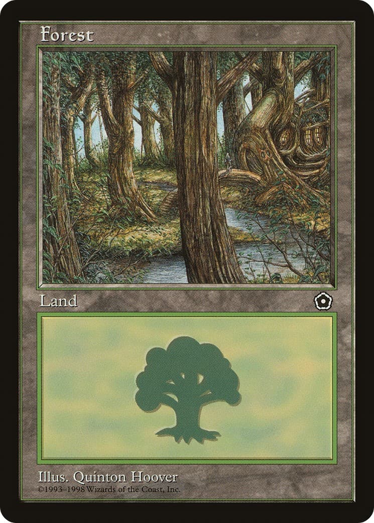 Forest - Image 1