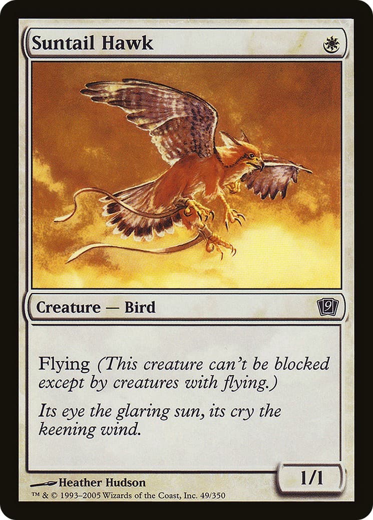 Suntail Hawk - Image 1