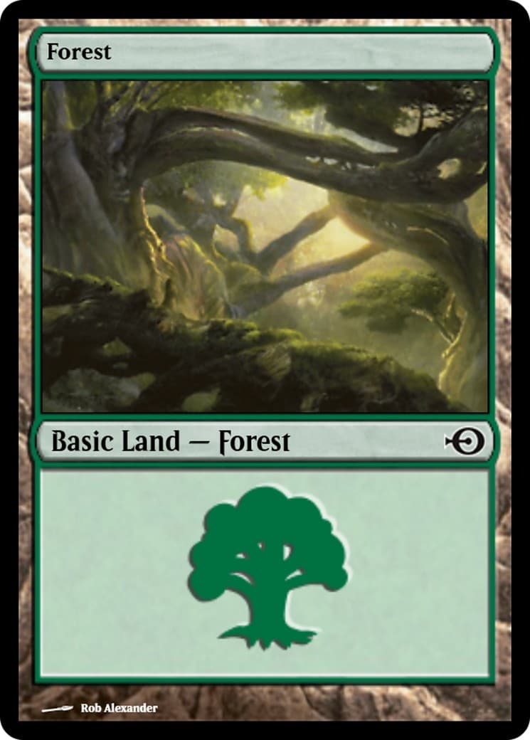 Forest - Image 1