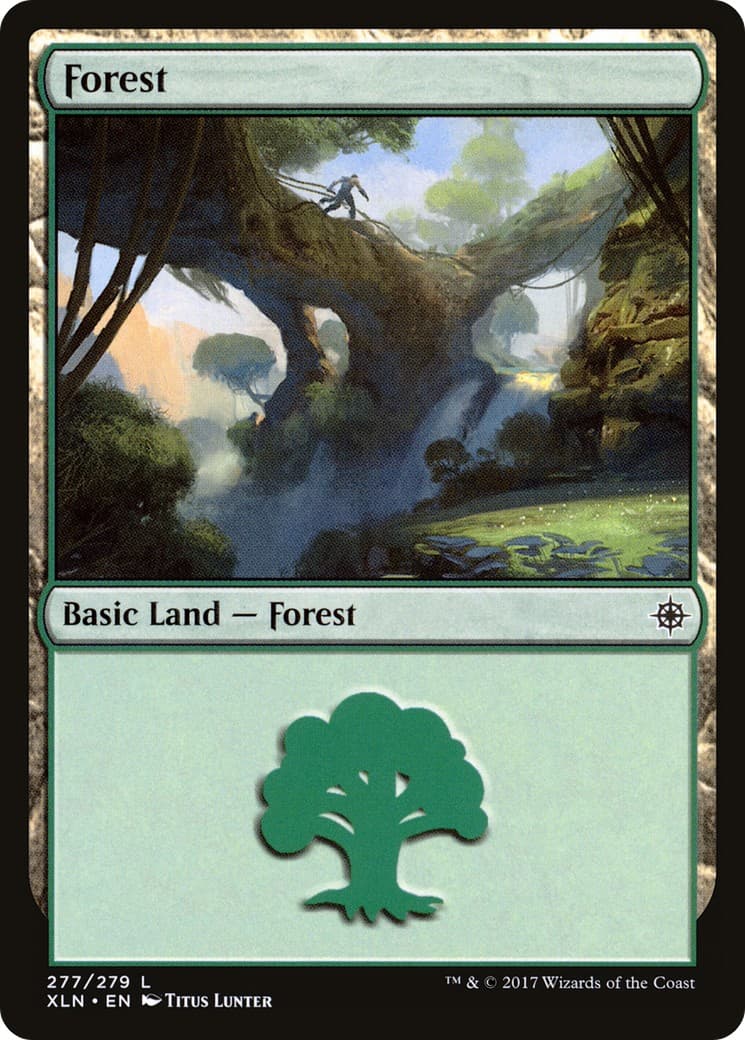 Forest - Image 1