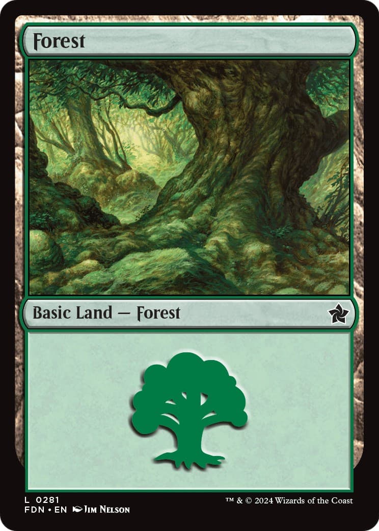 Forest - Image 1