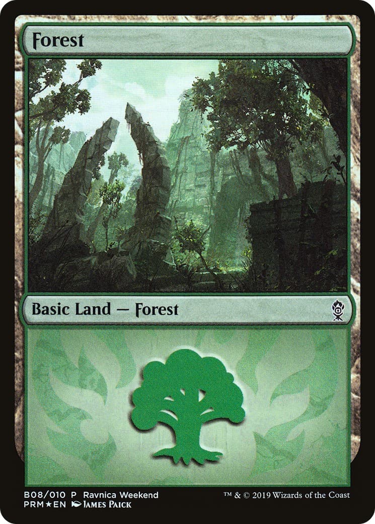 Forest - Image 1