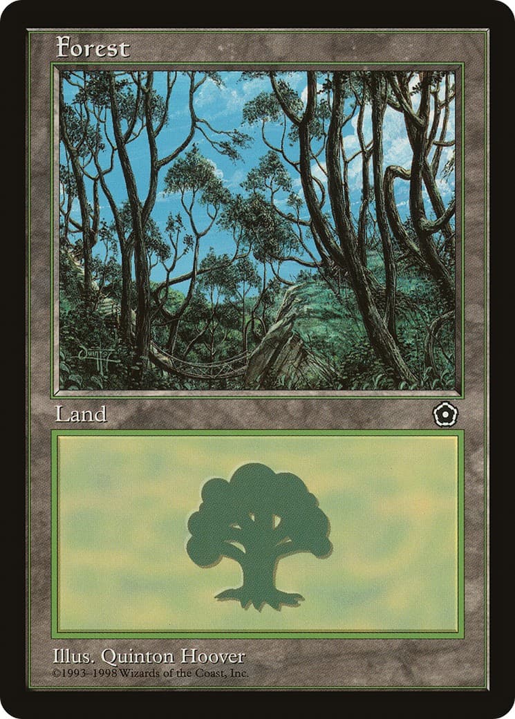 Forest - Image 1