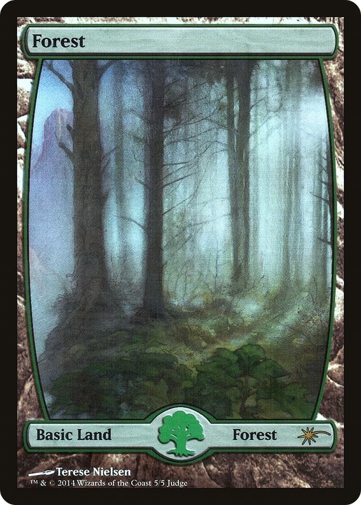 Forest - Image 1