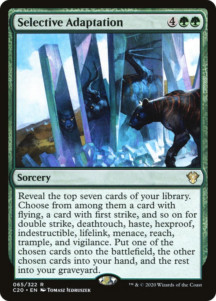 Selective Adaptation - Image 1