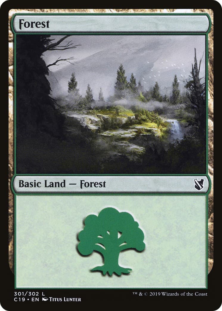 Forest - Image 1