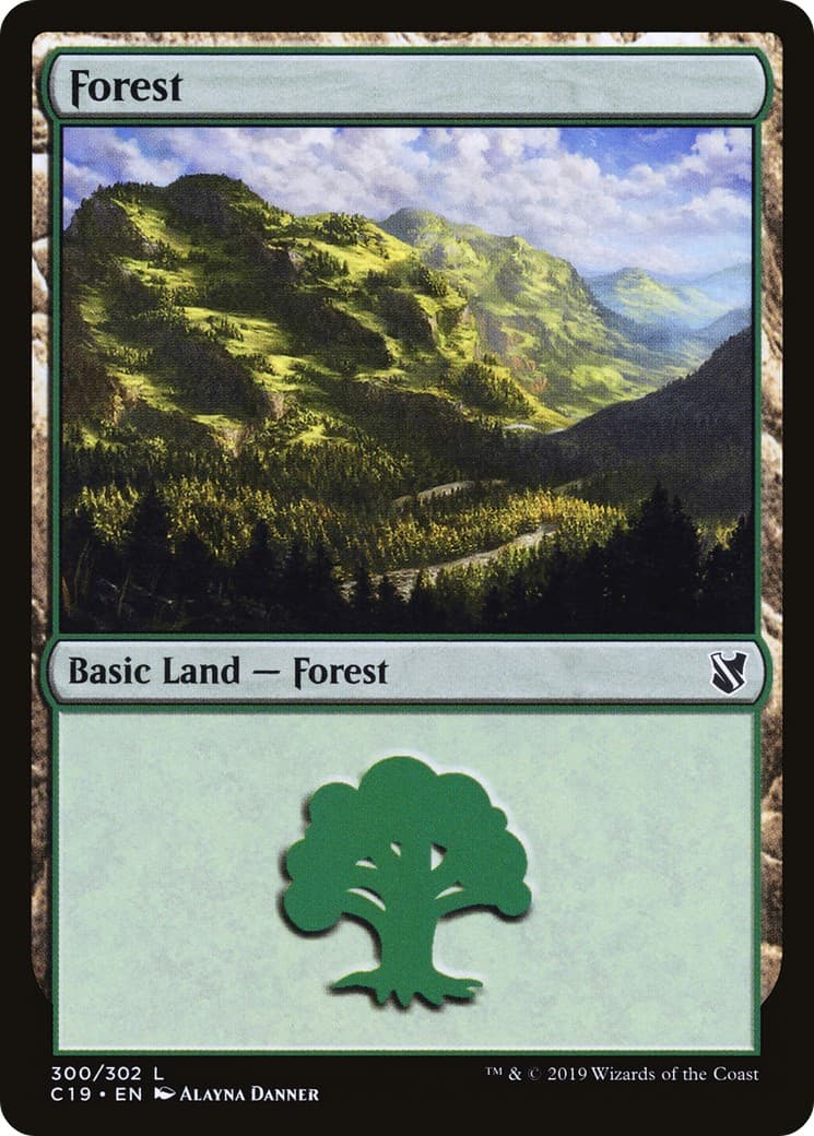 Forest - Image 1