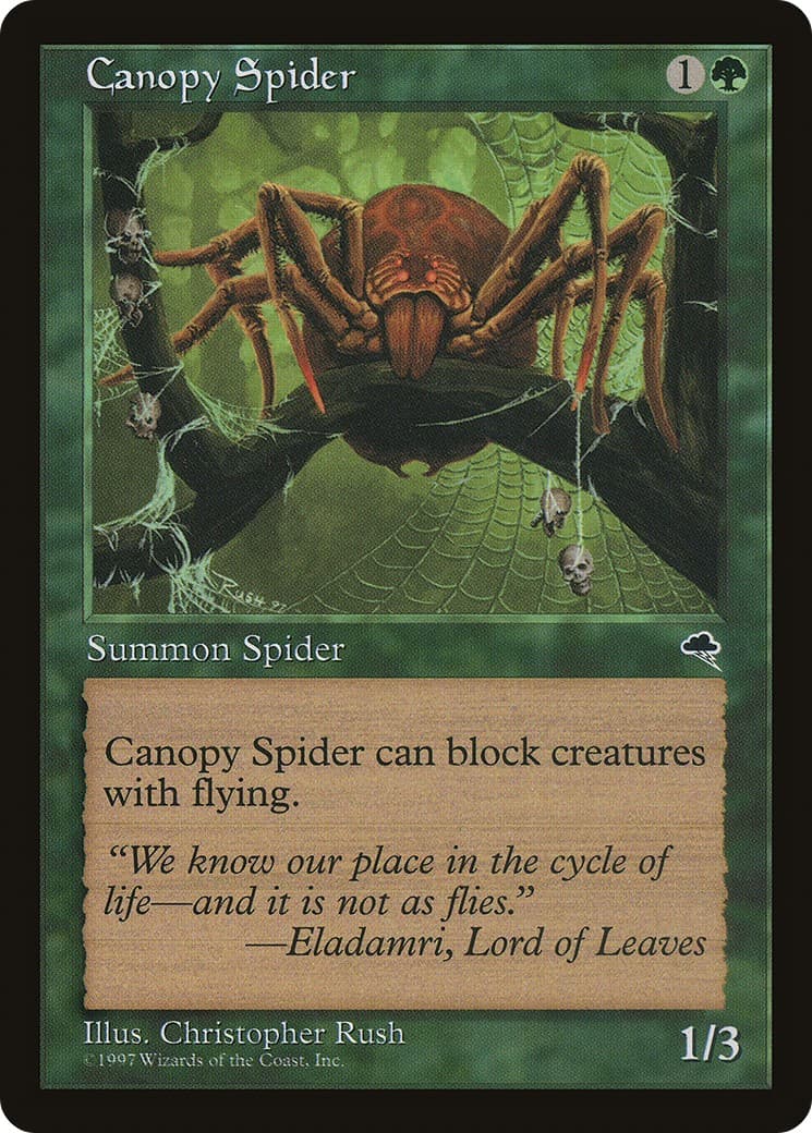 Canopy Spider - Image 1