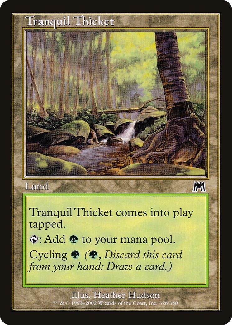 Tranquil Thicket - Image 1