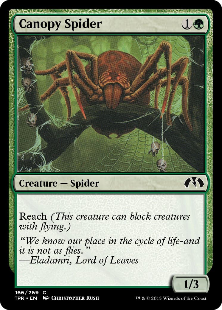 Canopy Spider - Image 1