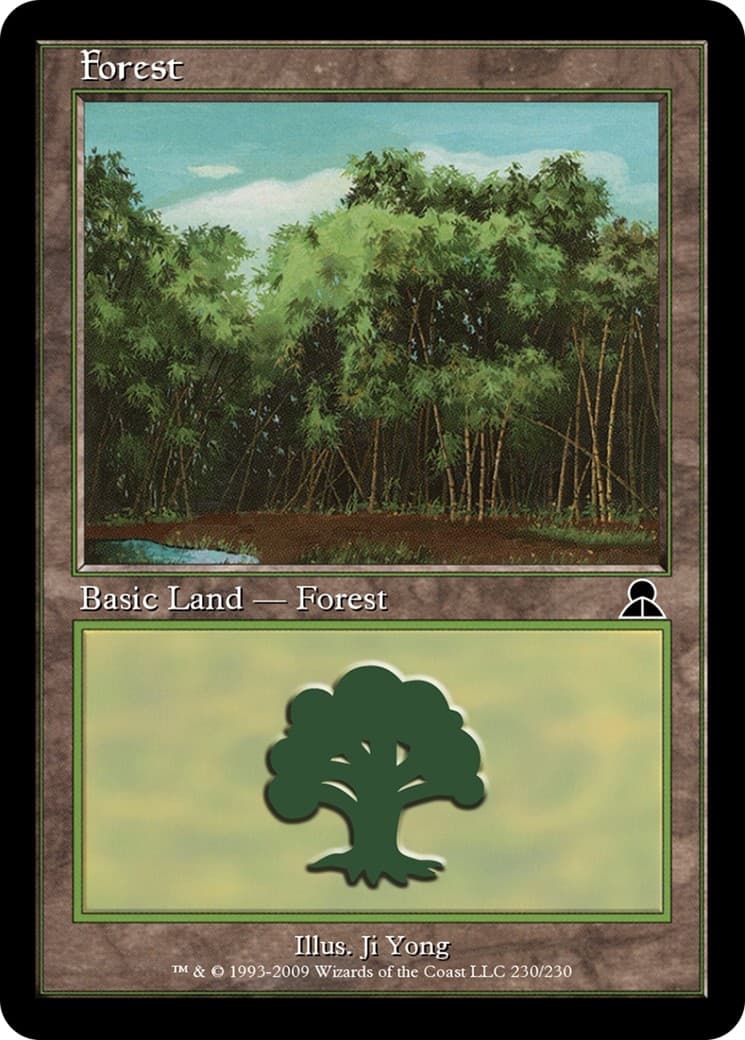 Forest - Image 1