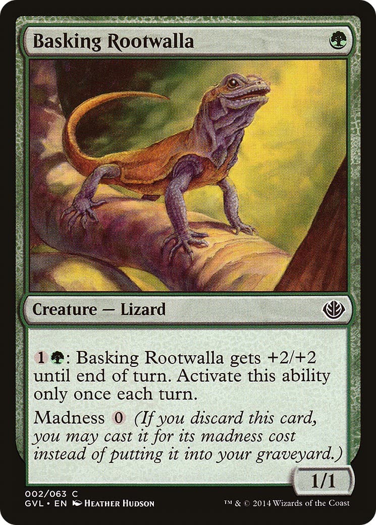 Basking Rootwalla - Image 1