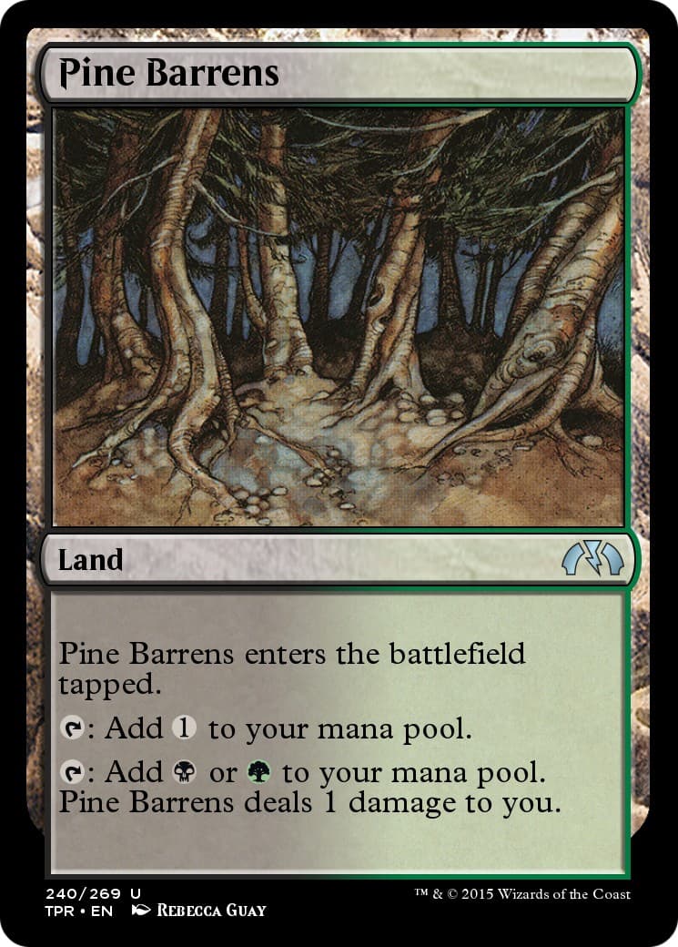 Pine Barrens - Image 1