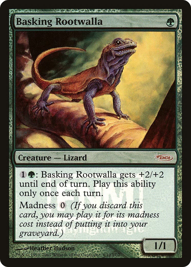 Basking Rootwalla - Image 1
