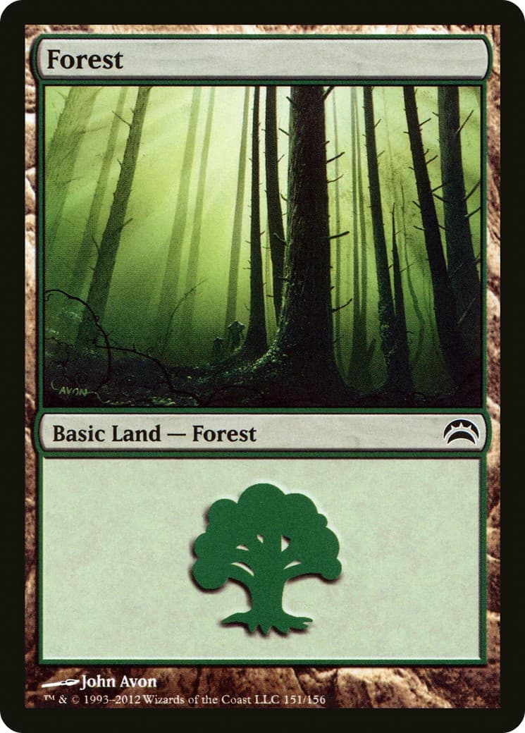 Forest - Image 1