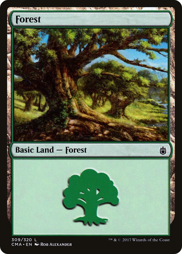 Forest - Image 1