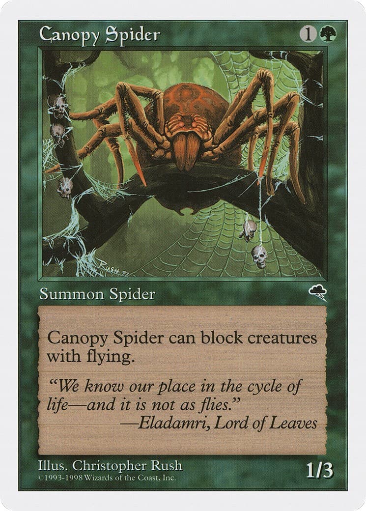Canopy Spider - Image 1