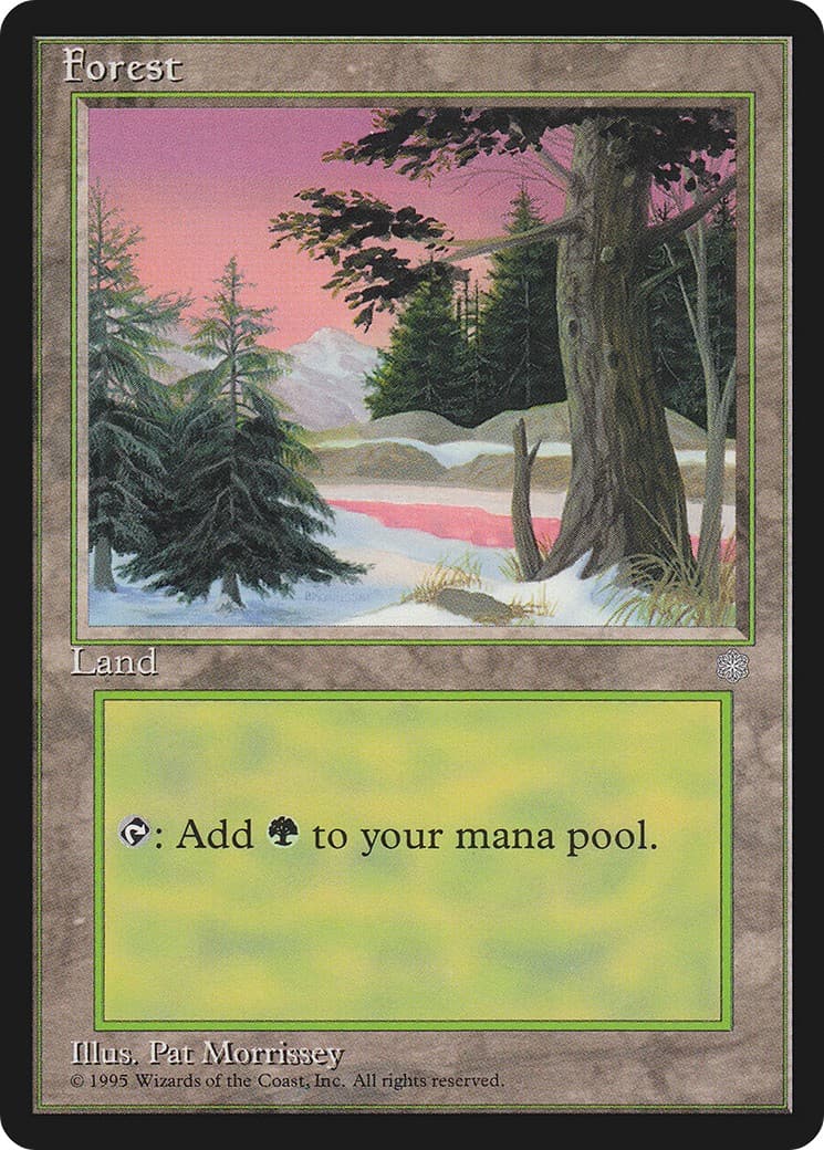 Forest - Image 1