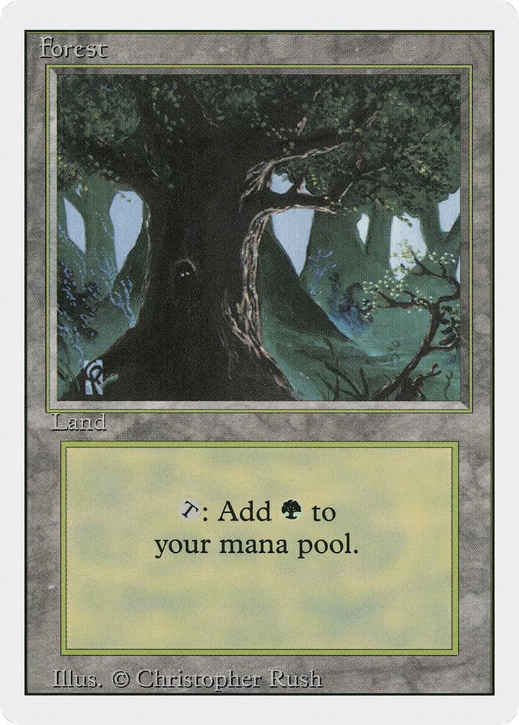 Forest - Image 1