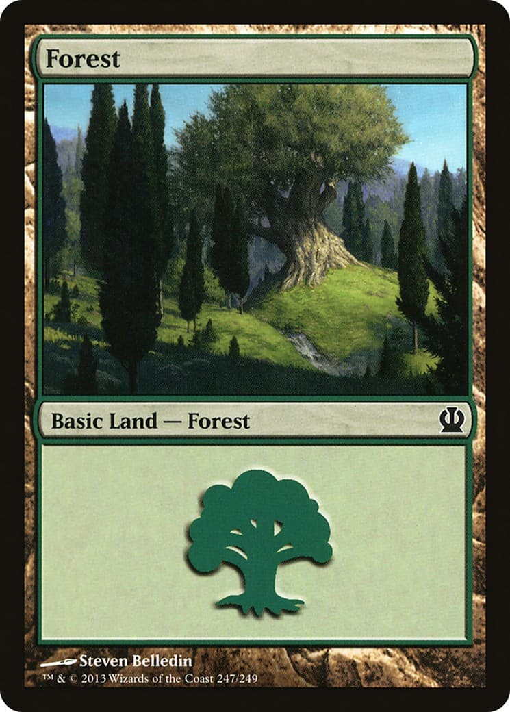 Forest - Image 1
