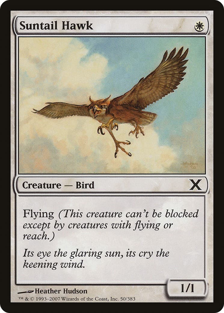 Suntail Hawk - Image 1