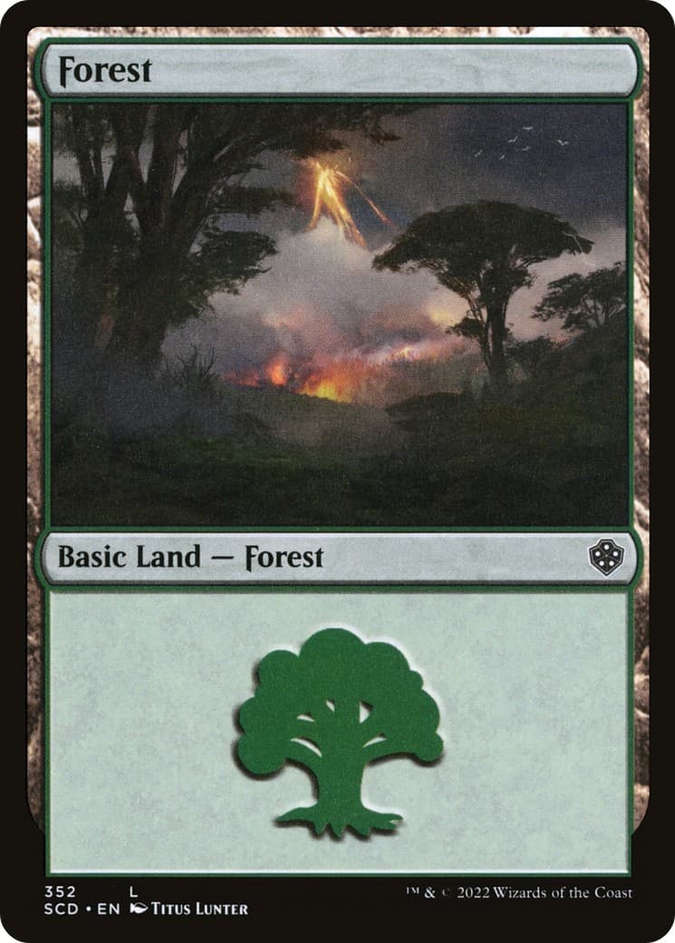 Forest - Image 1